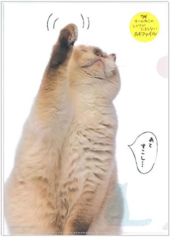 Amazon チームねこ ファイル A Fd0 78 1枚入り 短い手足を伸ばすネコ しぐさがたまらないファイル 学研ステイフル 文房具 オフィス用品 文房具 オフィス用品