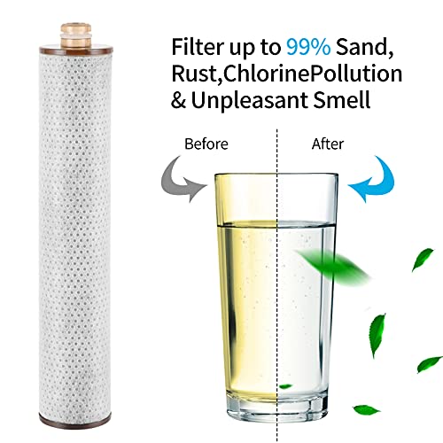 Reewato Vitamin C Filter High Pressure Shower Head With Replaceable