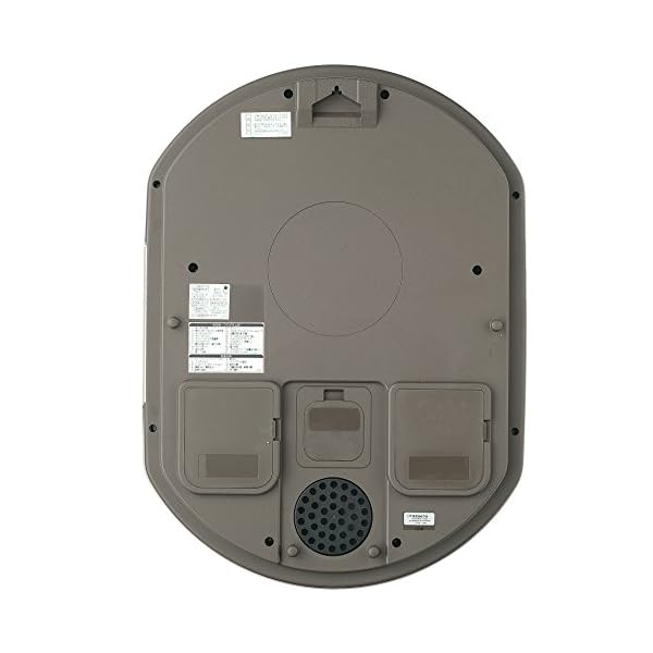 Seiko Clock Clock Wall Clock Wave Symphony Radio Clock Trick RE567G