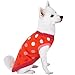 Blueberry Pet All Time Favorite Rosy Pink and Red Polka Dots Designer Dog Sweater, Back Length 12