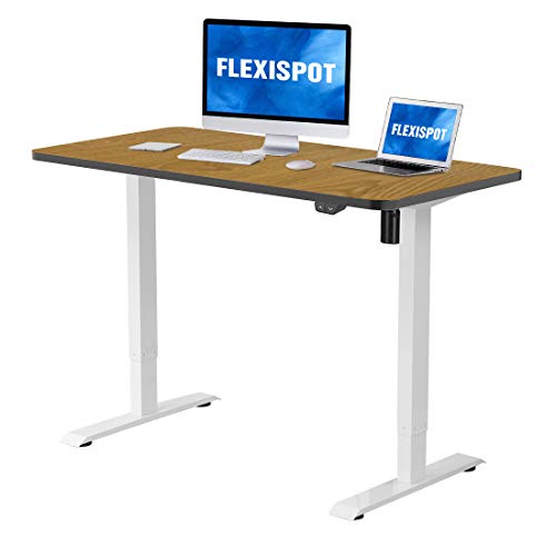 FLEXISPOT EC1 Adjustable Height Desk 42 x 24 Inches Small Desk for Small Space Electric Sit