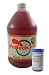 Outdoor Wood Boiler Water Treatment Rust Inhibitor- ProTech 300 & Test Kit