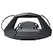 Sea-Doo New OEM Wake Board Rack, RXT GTX GTI GTR GTS GTX LTD, 295100453