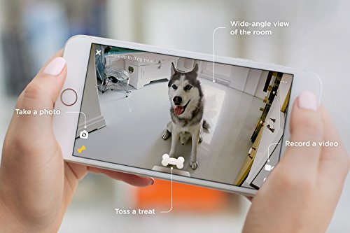 3 Petcube+Bites+Camera+Treat+Dispenser