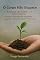 Livro O Corpo Não Esquece: Como restaurar o ambiente biológico perdido (Vida Funcional — Reconstrução da Saúde Plena)
