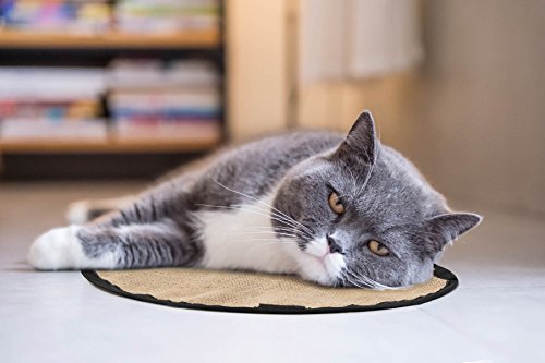 Cat Flower Fountain – Automatic Water Dispenser For Kitty And Dog Pets – Elevated Electric Drinking Fountain For Indoor Use – Comes With A Waterproof Scratch Mat – Silent Pump With Filter - CaringEver - Thumbnail 5