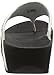 FitFlop Women's Lulu Thong Sandal,Antique White,8 M US