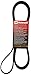 Motorcraft JK6982D Serpentine Belt