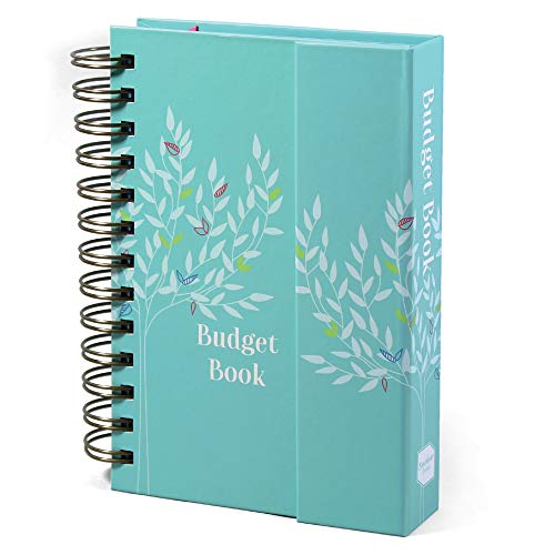 Boxclever Press Budget Book - Bill Organizer with Pockets. Monthly Planner with Expense Tracker to Manage Personal Finance. Undated Budget Planner Organizer for Cash Flow, Bills & More. 7'' x 5.3'' (Best Personal Budget Spreadsheet)