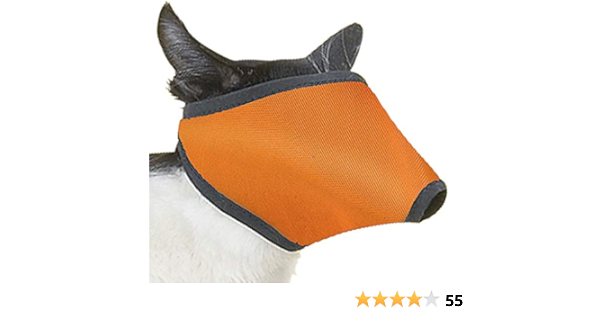cat muzzle amazon