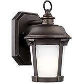 Generation Lighting 8550701-71 Small One Light Outdoor Wall Lantern, Antique Bronze