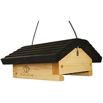 Amazon.com : Large Squirrel Proof Bird Feeder - Fits 2 ...
