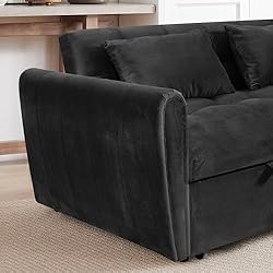65-Inch Loveseat with Pull Out Sleeper Couch