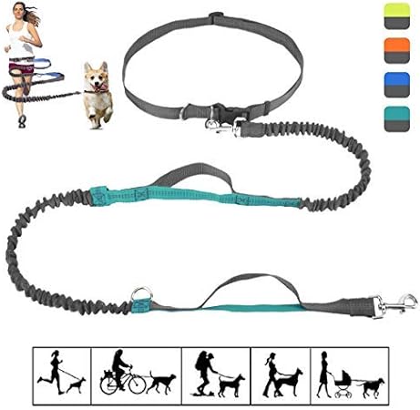 bungee dog running lead