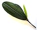 2 Artificial Green Flower Orchid Phalaenopsis Leaves Decorative Potted Plant Leaf Arrangement