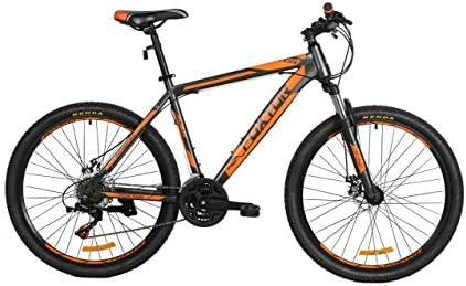 Foxtor Bikes Acqua G21 Speed Steel Frame 26T MTB Bicycle, 19 Inches