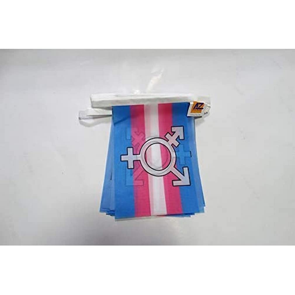 AZ FLAG Transgender Symbol Bunting Flag, 20 Ft Garland with 20 Small Rainbow Flags 8'' x 6'', 100% Polyester String Pennant, 6 meters