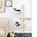 Pedy Cat Activity Tree with Scratching Post, Sisal Kitten Cat Trees and Towers, Cat Condo Furniture and Cat Tree House Attach to Wall Great for Little Cat, 3 Floors