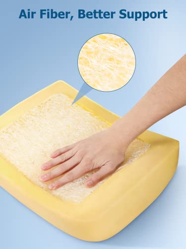 Lumbar Support Pillow for Office, Memory Form Back Support with Adjustable Strap& Breathable 3D Mesh & Air Fiber for Back Pain Relief, Lumbar Pillow for Gaming Chair Computer Car Seat