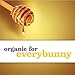 Annie’s Organic Honey Graham Cracker Bricks 14.4 oz (Pack of 4)