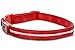Blazin Light Up Dog Collar - The Original LED Dog Collar - USB Rechargeable - Waterproof - 1,000 Feet of Visibility - Dog Collar Light for Small, Medium, Large Dogs - USA Brand