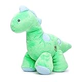 Carter's Child of Mine Musical Dinosaur