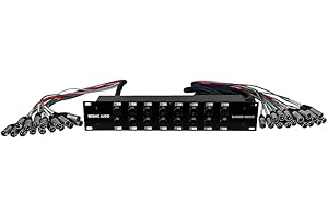Seismic Audio - SARMSS-16x310-16 Channel XLR TRS Combo Splitter Snake Cable - 3' and 10' XLR Trunks