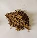 WonderLand Herbs Epimedium Horny Goat Weed Extract Powder 50 Grams, 50% Icariin