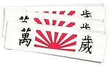 3 Pack Banzai Headbands