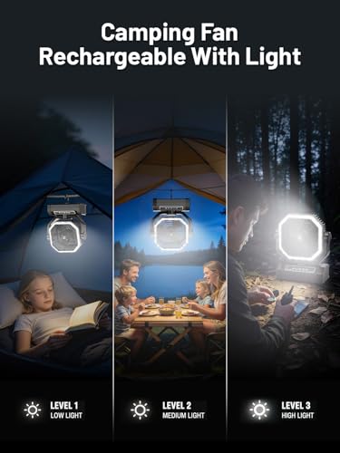 Portable Rechargeable Fan - 9-Inch Camping Fan for Tent, 24000mAh(60Hrs) Battery Operated Fan for Camping, Auto Oscillation Cordless Fans, Tent Fans with Remote/Light, 4 Speeds, 4 Timing, Outdoor