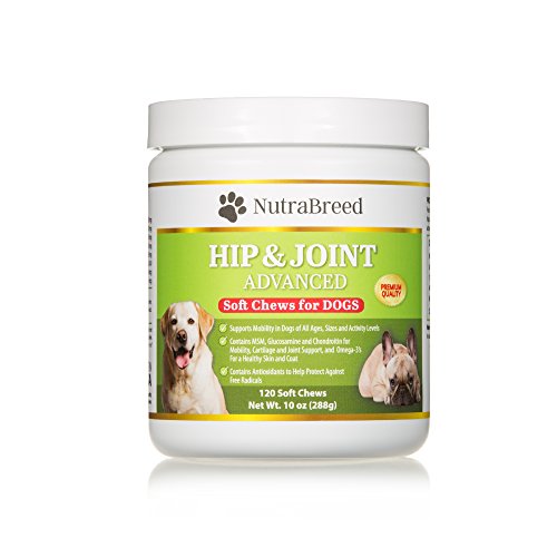 NutraBreed Dog Joint Supplements Premium Glucosamine Plus Chondroitin