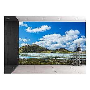 Landscape with Mountains and Flowers Under The Sky - Removable Wall Mural | Self-Adhesive Large Wallpaper - 66x96 inches