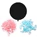 Gender Reveal Party Supplies (42 Pieces) - Baby Shower Decorating Kit, Gender Reveal Balloon, Boy or Girl Banner, Tissue Paper Pom Pom, Tassel Garland and Balloons by Blackdog Mercantile