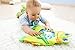HABA Little Frog Water Play Mat