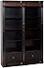 Coaster Home Furnishings Rowan Carved Combination Bookcases, Chestnut and Black