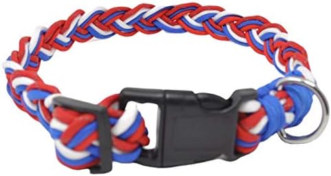 bull terrier dalmatian mix