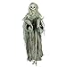 Holidayana Animatronic Floating Skeleton- Motion Activated Halloween Decoration with Lighted Eyes & Scary Sounds