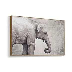 Framed Canvas Wall Art for Living Room, Bedroom Black and White Animal Canvas Prints for Home Decoration Ready to Hanging - 16x24 inches
