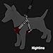Best Pet Supplies Voyager Adjustable Dog Vest Harness Breathable No Pull Harness for Small, Medium, Large Dogs, Harness for Walking, Jogging, Easy Step-in, Reflective Stripes - Red, L