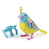 Digi Birds Single Pack, Vive