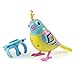 Digi Birds Single Pack, Vive