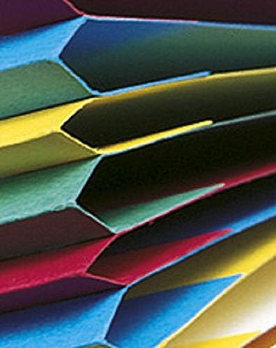 Exacompta, Ref 54129E, Stapled Spine Multipart File, 245 x 320mm in Size, Suitable for Storing A4 Documents - Image 4