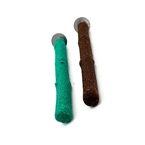 Borangs Parrot Perches Bird Stand Natural Wood Quartz Sand Branches