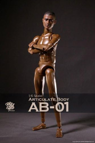 ZC WORLD - Articulate Body (AB-01)