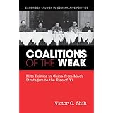 Coalitions of the Weak (Cambridge Studies in Comparative Politics)
