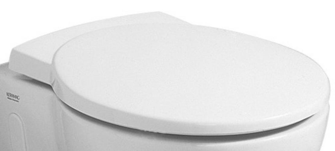 Joly Toilet Lid/Toilet Seat with Soft Close Lid, Removable Adjustable Stainless Steel without | Classic Style Heritage 2.4kg