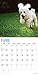 Poodles 2018 16 Month Wall Calendar 12 x 12 inches Bright Day Calendars Publishing