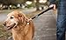 Leash Boss Short Dog Leash with Padded Handle - 12, 18, and 24 Inch Leads for Large Dogs - 1 Inch Nylon (18 in, Black/Red/Gray)