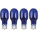 Landscape Light Bulb