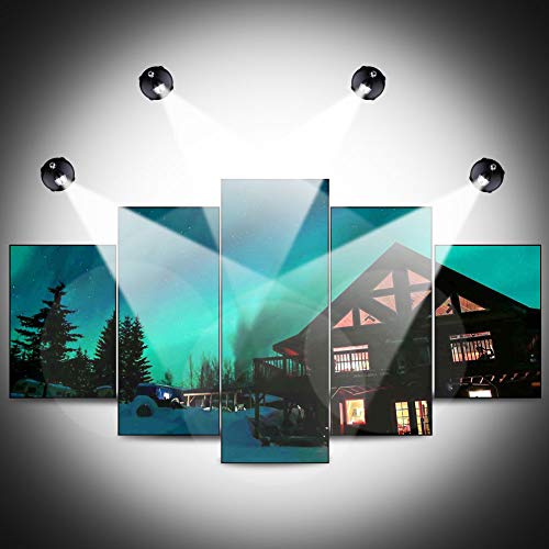 Wireless Spotlight Indoor, Battery Operated Accent Lights Art Lights